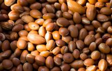 Argan oil
